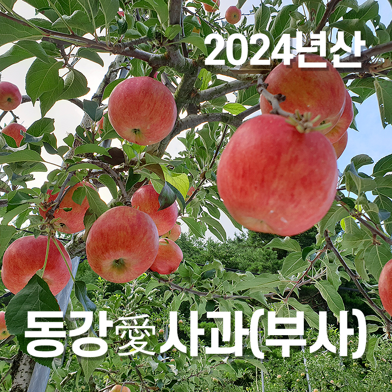 감자,옥수수,곤드레,어수리,눈개승마,산마늘,사과,포도,샤인머스켓,절임배추,황기,서리태,더덕,고추,건곤드레,건어수리,건나물,부사
