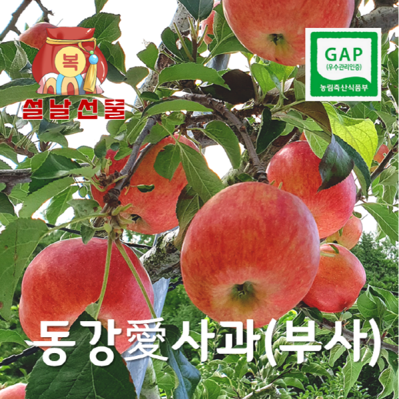 감자,옥수수,곤드레,어수리,눈개승마,산마늘,사과,포도,샤인머스켓,절임배추,황기,서리태,더덕,고추,건곤드레,건어수리,건나물,부사