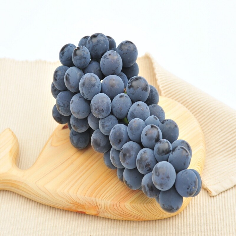 감자,옥수수,곤드레,어수리,눈개승마,산마늘,사과,포도,샤인머스켓,절임배추,황기,서리태,더덕,고추,건곤드레,건어수리,건나물,부사