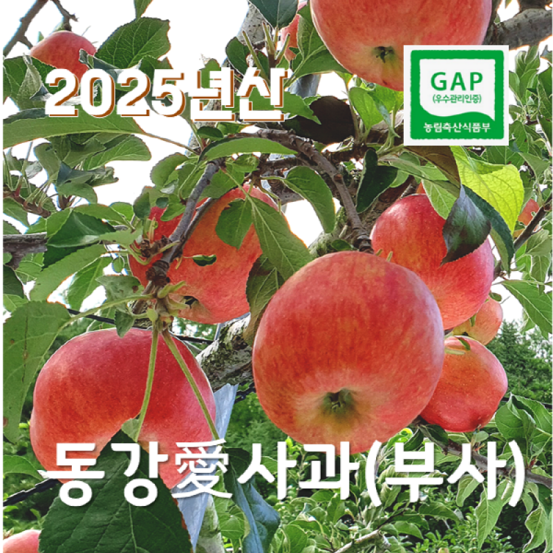 감자,옥수수,곤드레,어수리,눈개승마,산마늘,사과,포도,샤인머스켓,절임배추,황기,서리태,더덕,고추,건곤드레,건어수리,건나물,부사